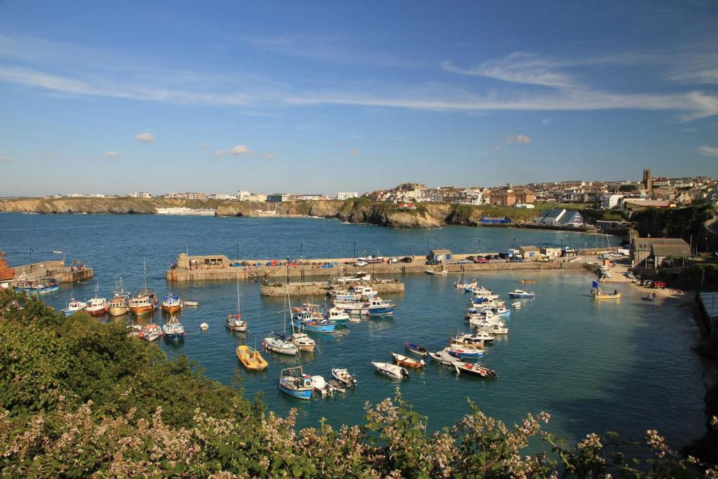 Wenden Guest House New Quay Zewnętrze zdjęcie